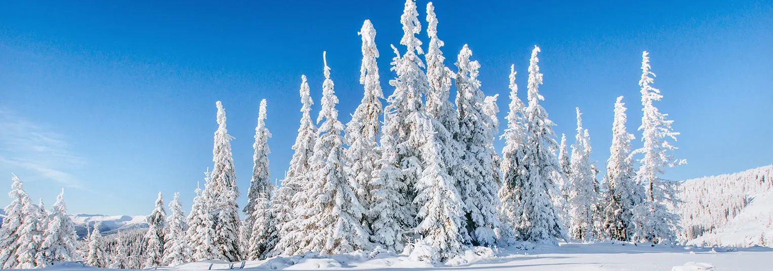 banner-family-friendly-winter-destinations-in-the-usa-1